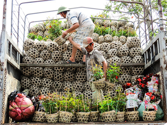 dịch vụ chở hàng ngày Tết ra miền Bắc